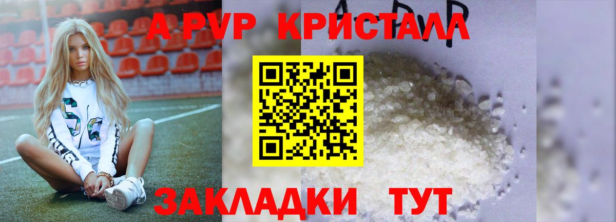 Alfa_PVP СК КРИС Балашов