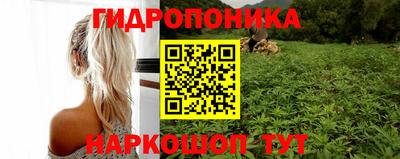 сатива Лесосибирск