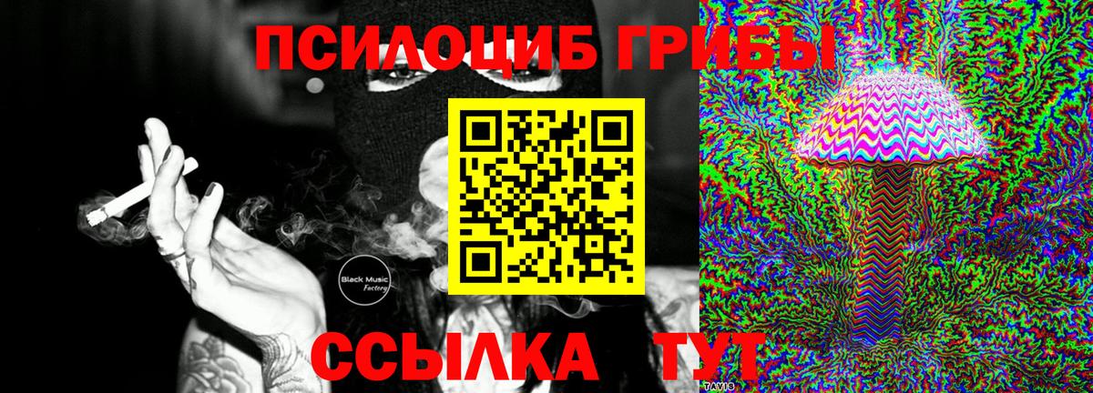 Псилоцибиновые грибы MAGIC MUSHROOMS  Вход с VPN  Балашов 