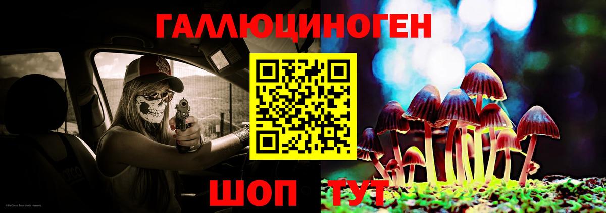 Псилоцибиновые грибы мухоморы Балашов